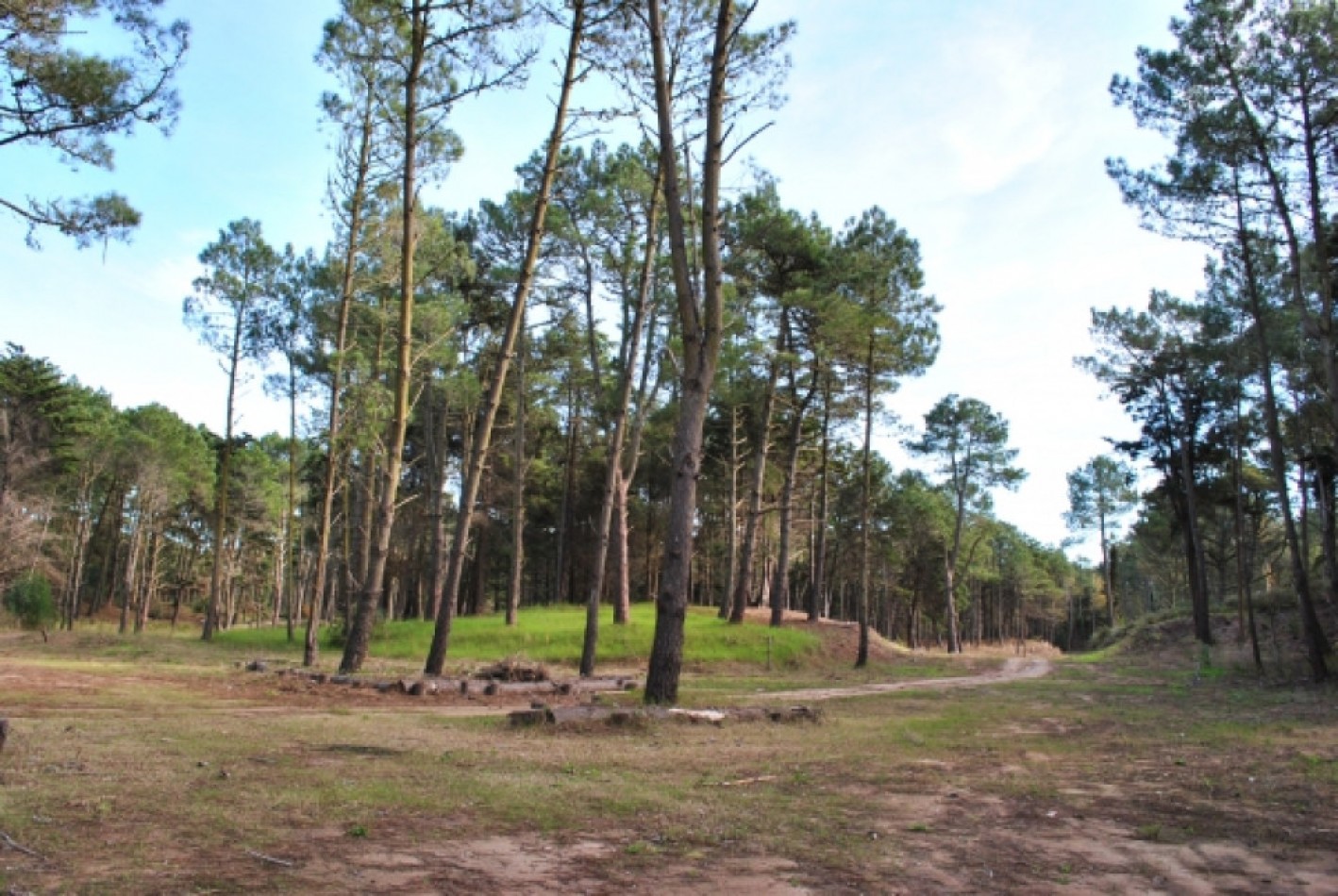 VENDO LOTE EN CARILO BARRIO LOS ENEBROS lote 5