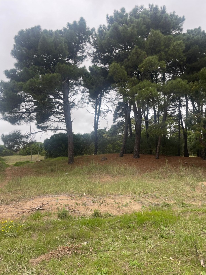 Vendo Lote en Barrio Nayades Pinamar calle doble entrada 