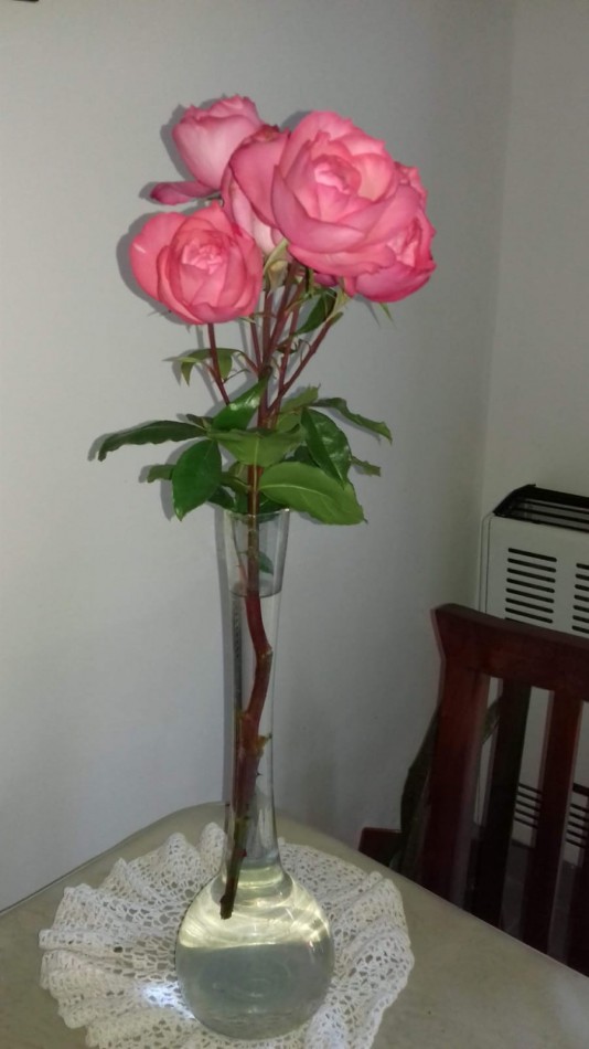 Alquilo Departamento planta baja en Almejas 300 - Pinamar 