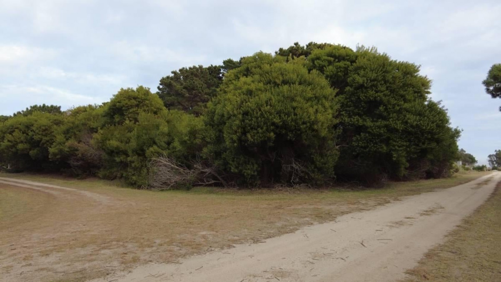 Vendo Lote en Barrio Cerrado Punta Medanos E 16 