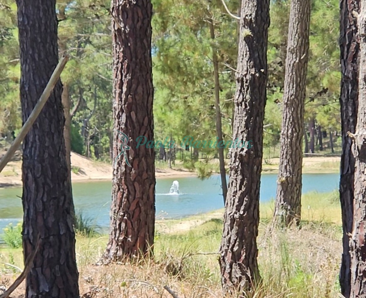 Vendo Lote en Barrio Bosques etapa I Pinamar Norte 