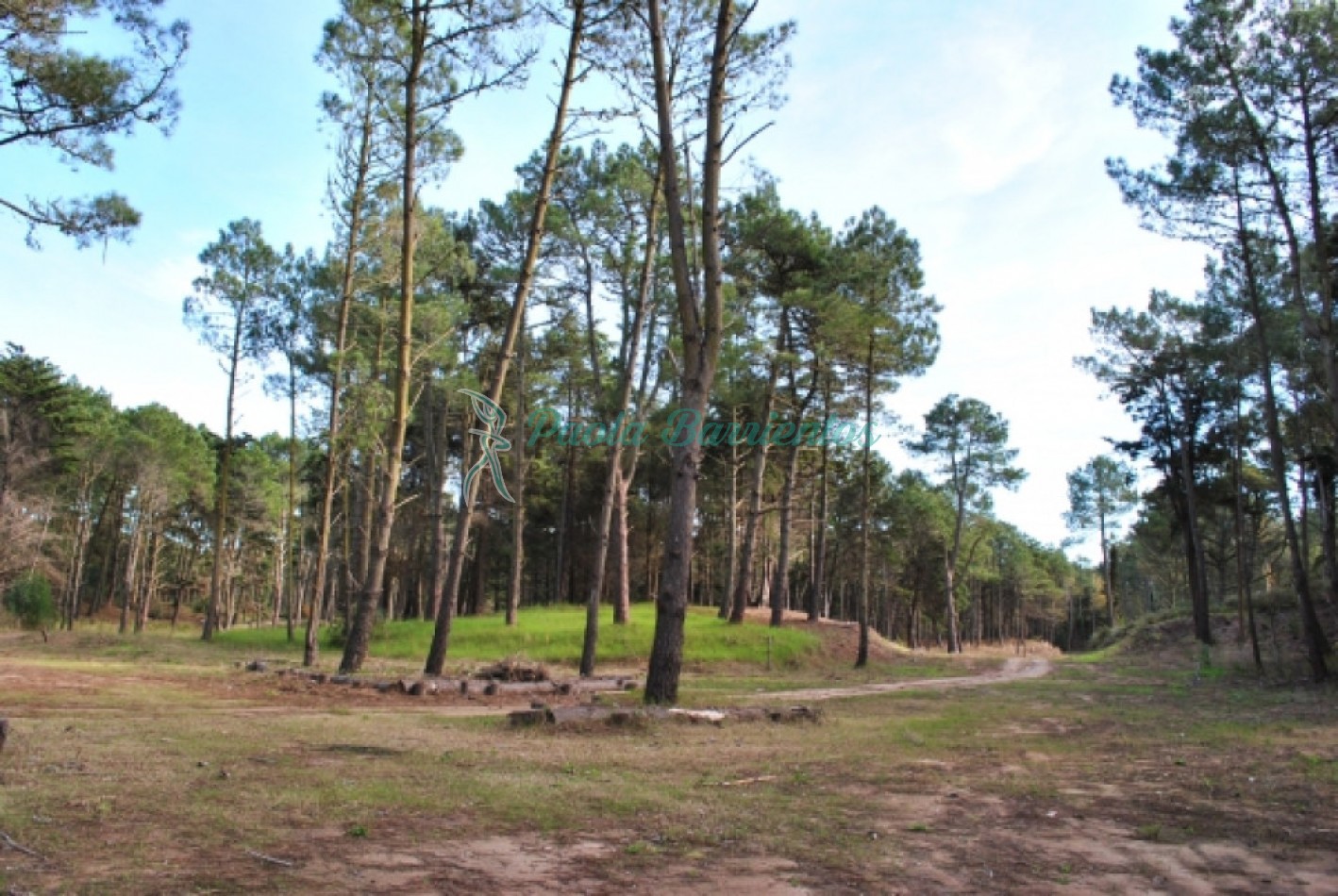 VENDO LOTE EN CARILO BARRIO LOS ENEBROS lote 5