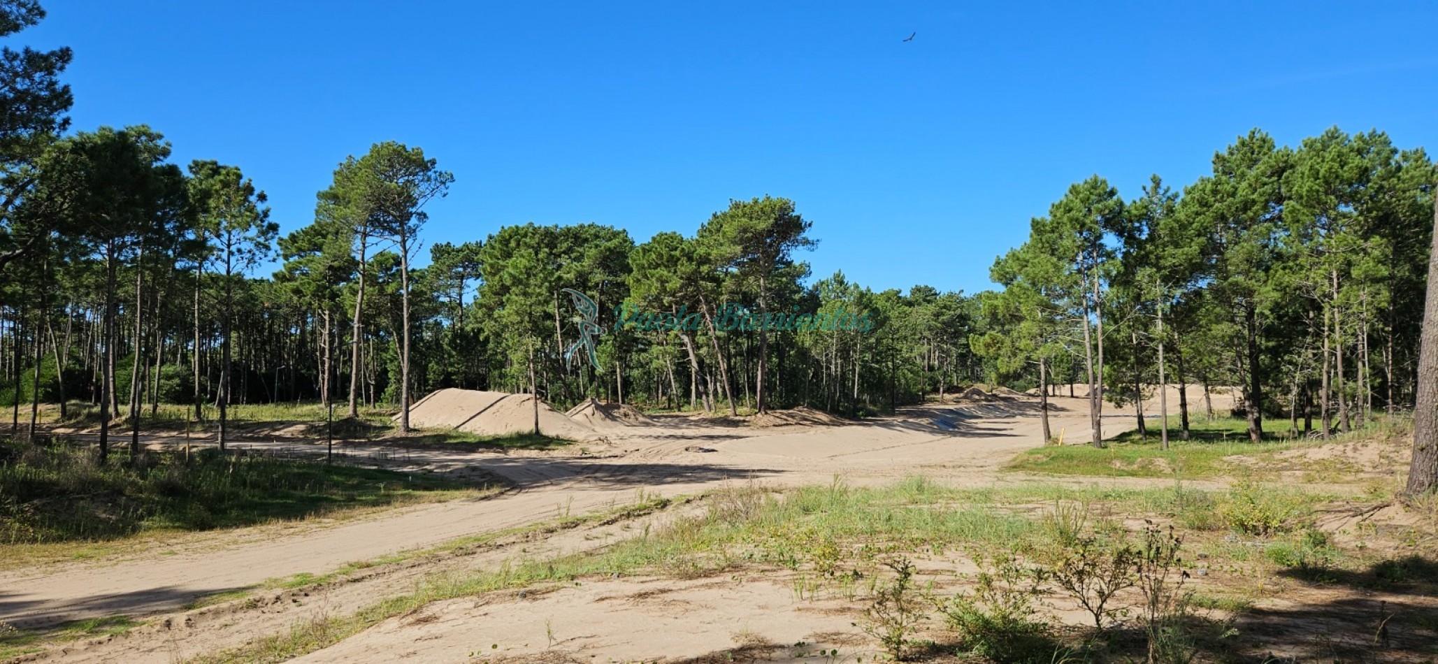 Vendo Lote en Barrio Bosques etapa I Pinamar Norte 