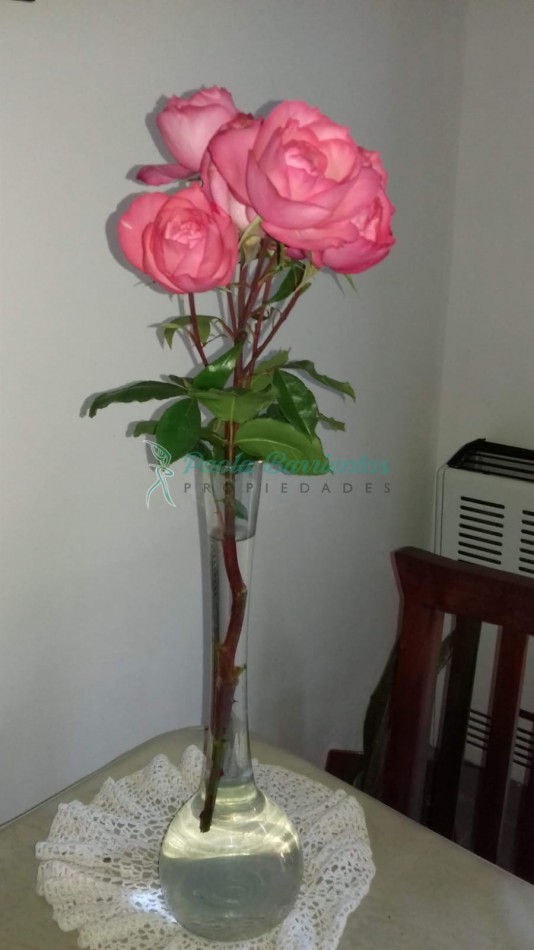 Alquilo Departamento planta baja en cul de sac Almejas 300 - Pinamar 