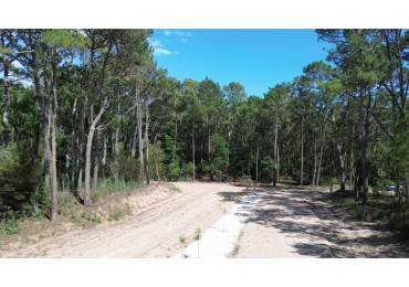 VENDO LOTE EN CARILO BARRIO LOS ENEBROS lote 5