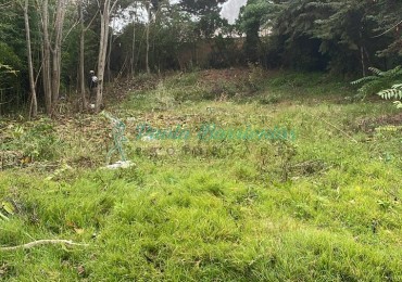 Vendo lote multifamiliar  a mts del mar Jorge y costanera 