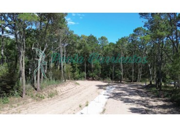 VENDO LOTE EN CARILO BARRIO LOS ENEBROS lote 5