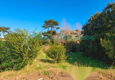 Vendo Lote en Mar de Ostende 